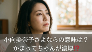 小向美奈子　さよなら　意味　どこ行く